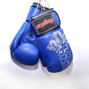 Ringstar Blue Boxing Gloves